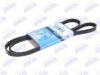 MAN 51968200304 V-Ribbed Belts